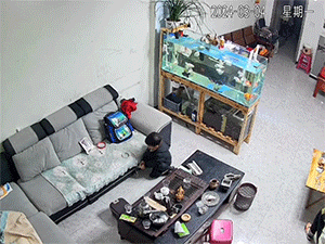 Nghịch ngợm đốt thử sợi vải trên sofa, bé trai suýt khiến cả nhà gặp họa