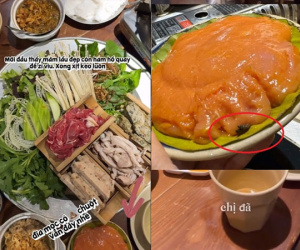 Đĩa mọc nhúng lẩu 'đính kèm' chất thải chuột trong nhà hàng ở Hà Nội khiến khách kinh hãi, nghe nhân viên giải thích càng thêm 'rụng rời'