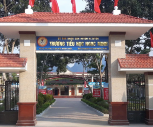 Học sinh lớp 2 nghi bị thầy chủ nhiệm đánh 'phù nề phần mềm' vùng đầu
