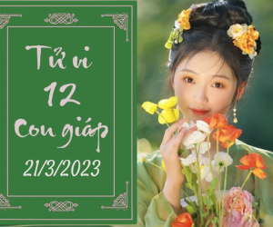 Tử vi thứ 5 ngày 21/3/2024 của 12 con giáp: Thìn lắm tiền, Ngọ ấm ức