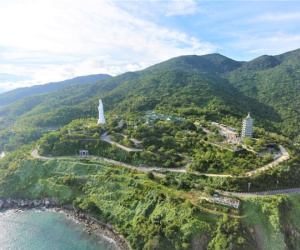 Đẹp mê hồn Sơn Trà mùa thay lá, khách đổ về ngắm 'nữ hoàng linh trưởng' dạo chơi