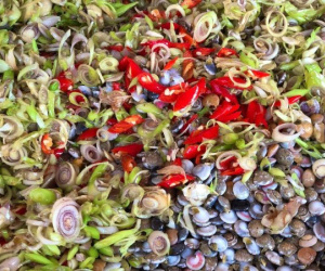 Đặc sản ốc tí hon vị ngon lạ, khách 'hoa mắt' vẫn kiên nhẫn ngồi lể từng con