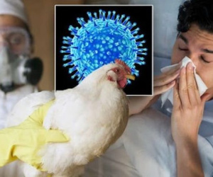 Sinh viên nhiễm cúm gia cầm A/H5 ở Khánh Hòa đã tử vong: Bệnh cúm này nguy hiểm như thế nào?