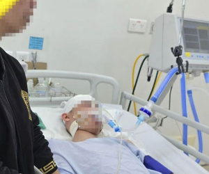 Từ vụ việc nam sinh lớp 8 ở Hà Nội bị đánh dã man: Chết não có khả năng hồi phục hay không?