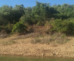 Cựu bí thư huyện giả chữ ký, thâu tóm 138,4 ha đất rừng phòng hộ