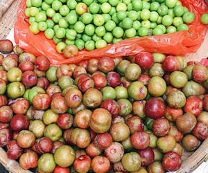 40k chỉ mua được 5 quả mận: Người ngậm ngùi 'chịu trận' vì mận đầu mùa, người than thở vì giá trên trời