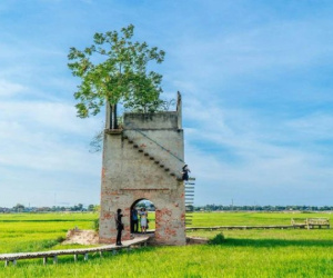Phát hiện nơi bị bỏ hoang hơn 20 năm ở Hội An, giờ thu hút cực đông khách đến thăm, nằm giữa đồng lúa xanh