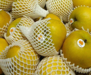 Đi chợ về thừa tấm lưới bọc hoa quả, đừng vội bỏ đi bởi nó có cực nhiều công dụng: Tiết kiệm 1 mớ tiền