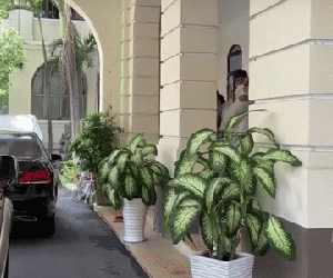 Nam Em đi không nổi, được bạn trai bế lên xe ra về sau buổi làm việc tại Sở Thông tin - Truyền thông TP.HCM