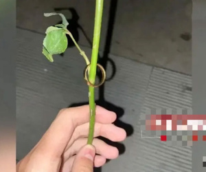 Nhặt được nhẫn vàng trong thùng rác, chàng trai bị 'đòi nợ' ráo riết: Một mồi lửa giúp lật ngược tình thế