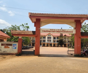Hai học sinh bị buộc thôi học dù âm tính với ma túy