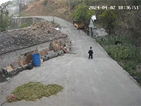 Hài hước cảnh bé trai chơi với xẻng rồi tự gây họa dù có mẹ ở bên