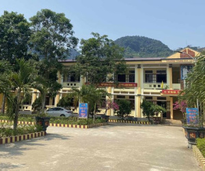 Ảnh minh họa