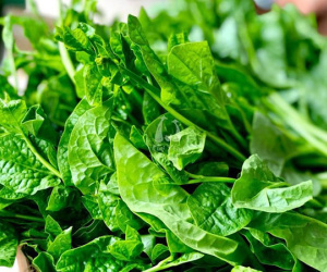 4 nhóm người tuyệt đối không ăn rau mồng tơi kẻo 'rước họa'