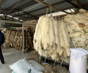 Chuyên gia lại cảnh báo khả năng xuất hiện dịch bệnh ở Trung Quốc