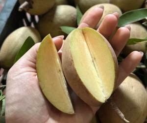 Loại quả có thể ngăn ngừa ung thư, tăng huyết áp