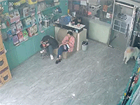 Mất lái, xe con tông thẳng vào tiệm thú cưng khiến chủ cửa hàng kinh hãi