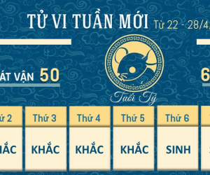 Tử vi tuần mới của 12 con giáp từ 22 - 28/4/2024: Dậu tỏa sáng, Thìn thất thường