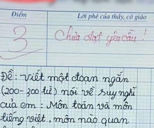Bài văn đang gây bão mạng: Bị chấm 3 điểm vì không đạt yêu cầu viết lách nhưng dân tình cho rằng, lý lẽ trong bài xứng đáng 100 điểm!