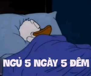'Ngủ suốt 5 ngày 5 đêm dịp nghỉ lễ' - trào lưu mới được giới trẻ hưởng ứng nhiệt tình