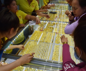 Giá vàng nhẫn 24K lao dốc