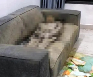 Cô gái tử vong trên sofa ở Hà Nội gần 2 năm: Phát hiện bất ngờ về lớp đệm ghế