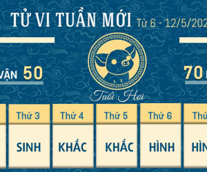 Tử vi tuần mới từ 6 - 12/5/2024 của 12 con giáp: Hợi may mắn, Thân tham việc