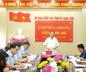 Kỷ luật Trưởng phòng Tài nguyên và Môi trường, đề nghị kỷ luật Bí thư Đảng ủy, Chủ tịch xã