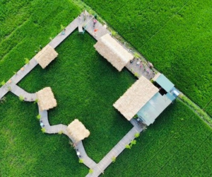 Phát hiện quán cà phê ruộng lúa cực mới, cực chill ngay ở Hà Nội, cách trung tâm chưa đến 30km
