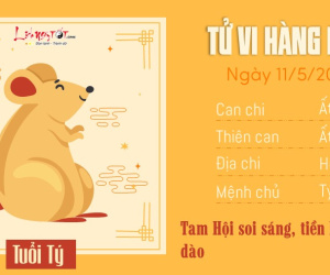 Tử vi thứ 7 ngày 11/5/2024 của 12 con giáp: Mùi vô tư, Mão vượng phát