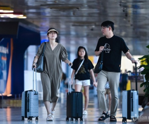 Kết quả kiểm tra giá vé máy bay: Không phát hiện hãng nào vi phạm