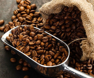 Chuyện dị thường 50 năm mới thấy và thời khốc liệt của cà phê: Giá càng tăng, doanh nghiệp phá sản càng nhiều