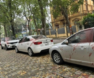 Khởi tố, bắt 4 người vụ tạt sơn nhiều xe ôtô