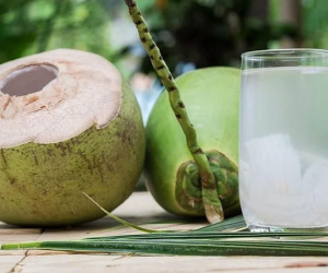 Biết 5 tác dụng này sẽ hiểu vì sao nhiều người uống nước dừa mỗi ngày