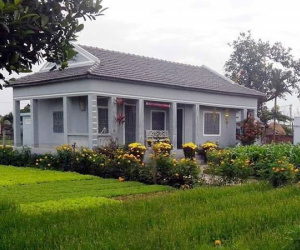 Về nhà sau gần chục năm tha hương, tôi bàng hoàng thấy cảnh trước sân