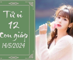 Tử vi 12 con giáp hôm nay - thứ 3 ngày 14/05/2024: Sửu khó trăm bề, Ngọ được thần tài chiếu cố