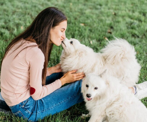 Vợ nuôi 4 con cún để 'chữa lành', con cái thì bỏ bê