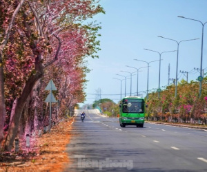 Tuyến đường độc đạo xuyên rừng đẹp như tranh ở TPHCM