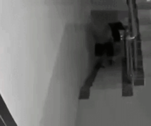 'Khách thuê nhà' có hành động lạ, chủ xem camera tá hỏa với cảnh này: 1 đêm tiếp 19 người, vào ra liên tục!