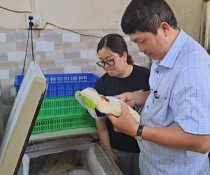 Vụ ngộ độc thực phẩm hơn 50 người ở Bình Thuận: Không xuất phát từ nhà hàng Hồng Vinh