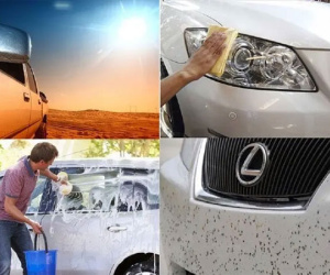 Chăm sóc ô tô màu trắng thế nào để hạn chế ố vàng?