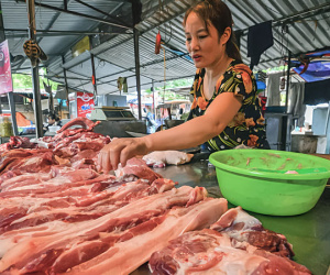 Giá thịt lợn lập đỉnh, ‘đại gia’ chăn nuôi lãi khủng