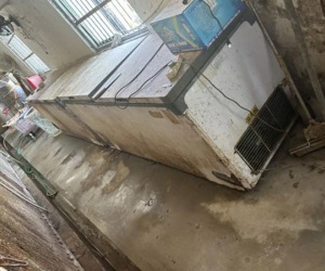 Sốc: 20 xác hổ trong tủ đông ở vườn thú Trung Quốc