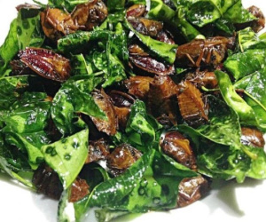 Đặc sản khiến người Việt ám ảnh, người nước ngoài lại thi nhau bắt vì giá gần 3 triệu/kg
