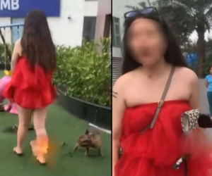 Bị nhắc nhở khi thú cưng phóng uế tại khu vui chơi trẻ em, cô gái vẫn cố cãi: 'Con chó cũng như trẻ con thôi'