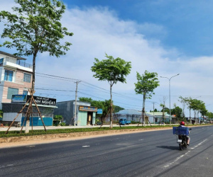 Vì sao TP HCM yêu cầu nhiều đơn vị cung cấp hồ sơ về cây xanh cho cơ quan điều tra Bộ Công an?