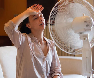 Mùa hè dùng quạt trần hay quạt cây để tiết kiệm điện?