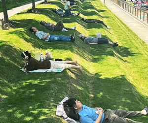 Giới trẻ Trung Quốc 'phát sốt' với bãi cỏ bậc thang, nơi 'cực chill' để nghỉ trưa