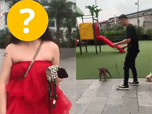 Cận cảnh màn đối đáp: 'Chó cũng như trẻ con...' của cô gái dắt thú cưng vào khu vui chơi chung cư