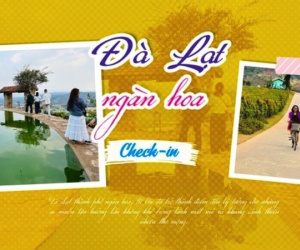 'Cơn sốt' check-in quán cà phê đẹp tại Đà Lạt